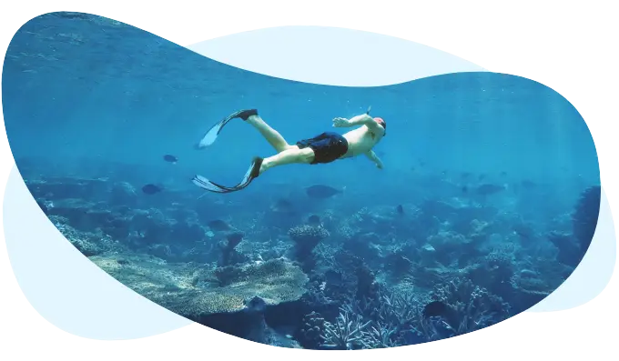 plongée sous-marine